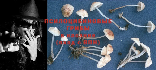 гашишное масло Осинники