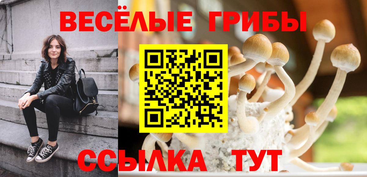 Галлюциногенные грибы Magic Shrooms Амурск